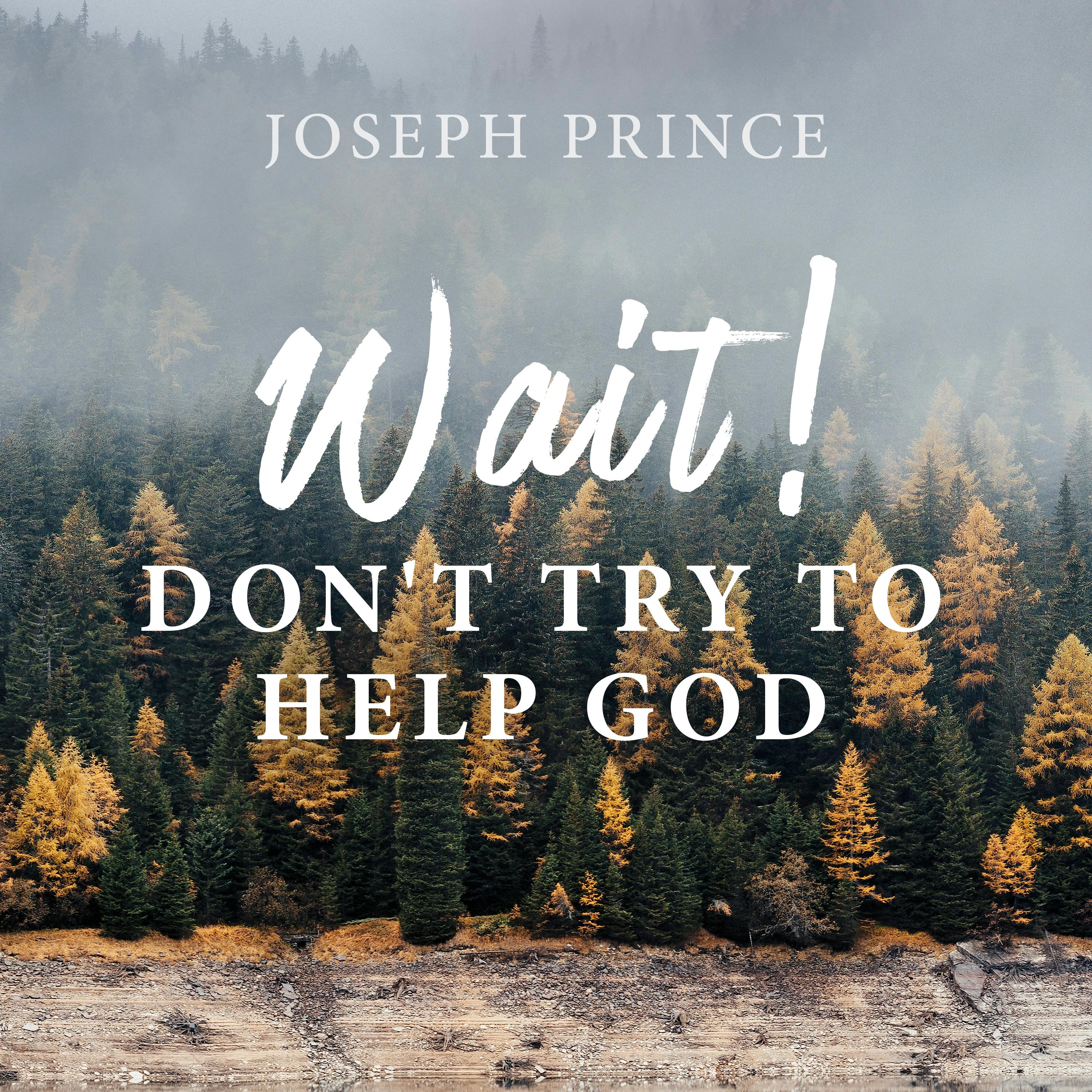 Wait! Don't Try To Help God
