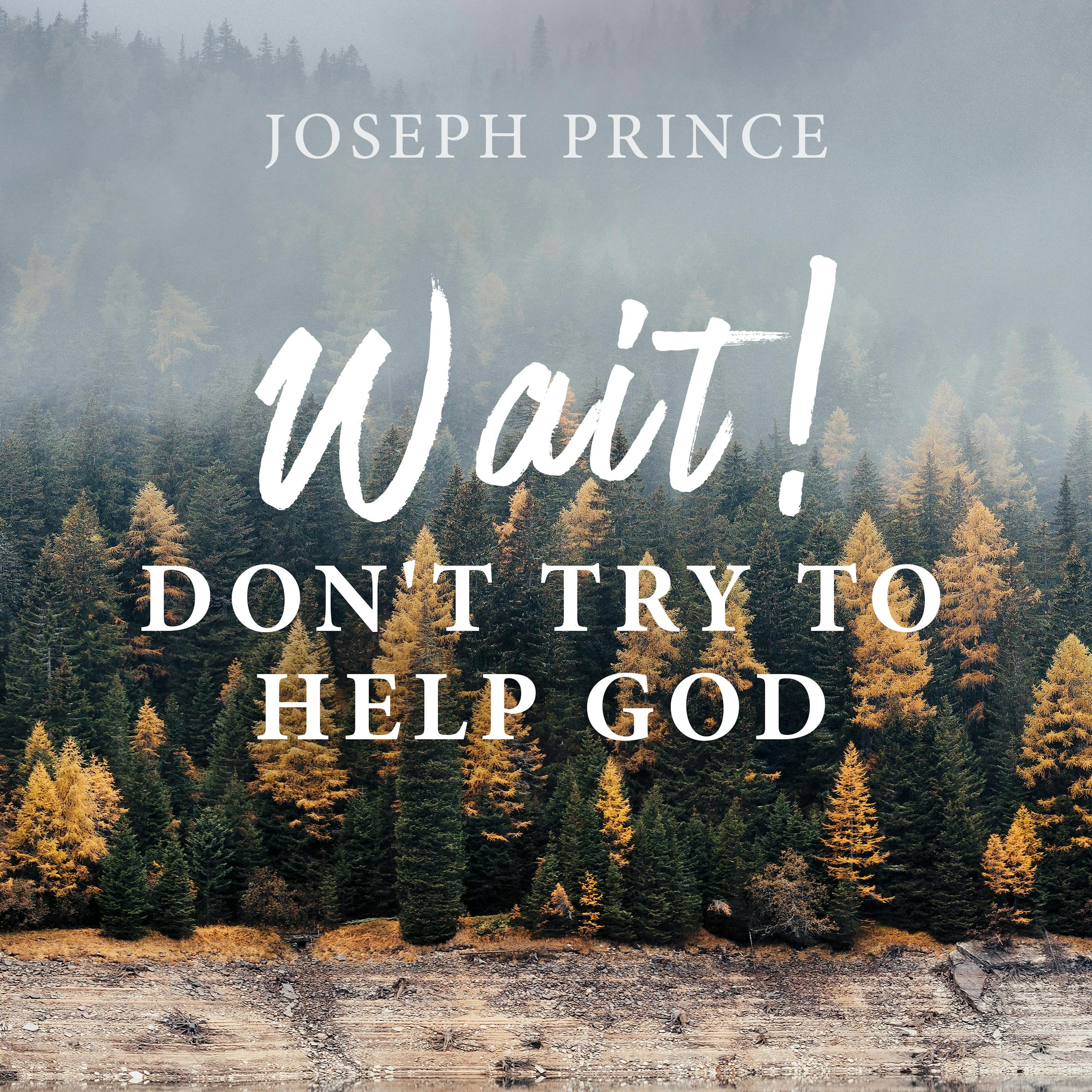 Wait Don t Try To Help God Joseph Prince Resources