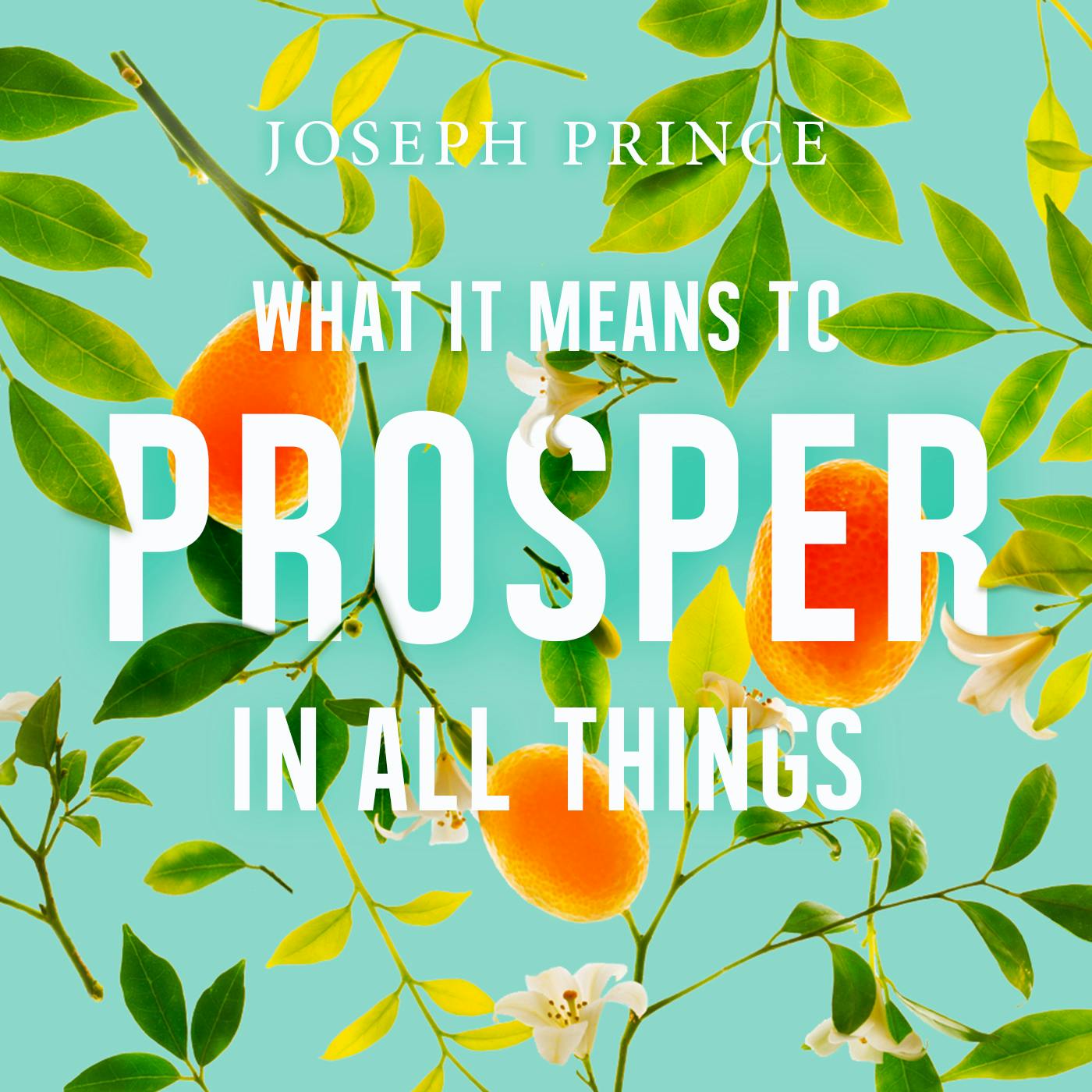 What It Means To Prosper In All Things