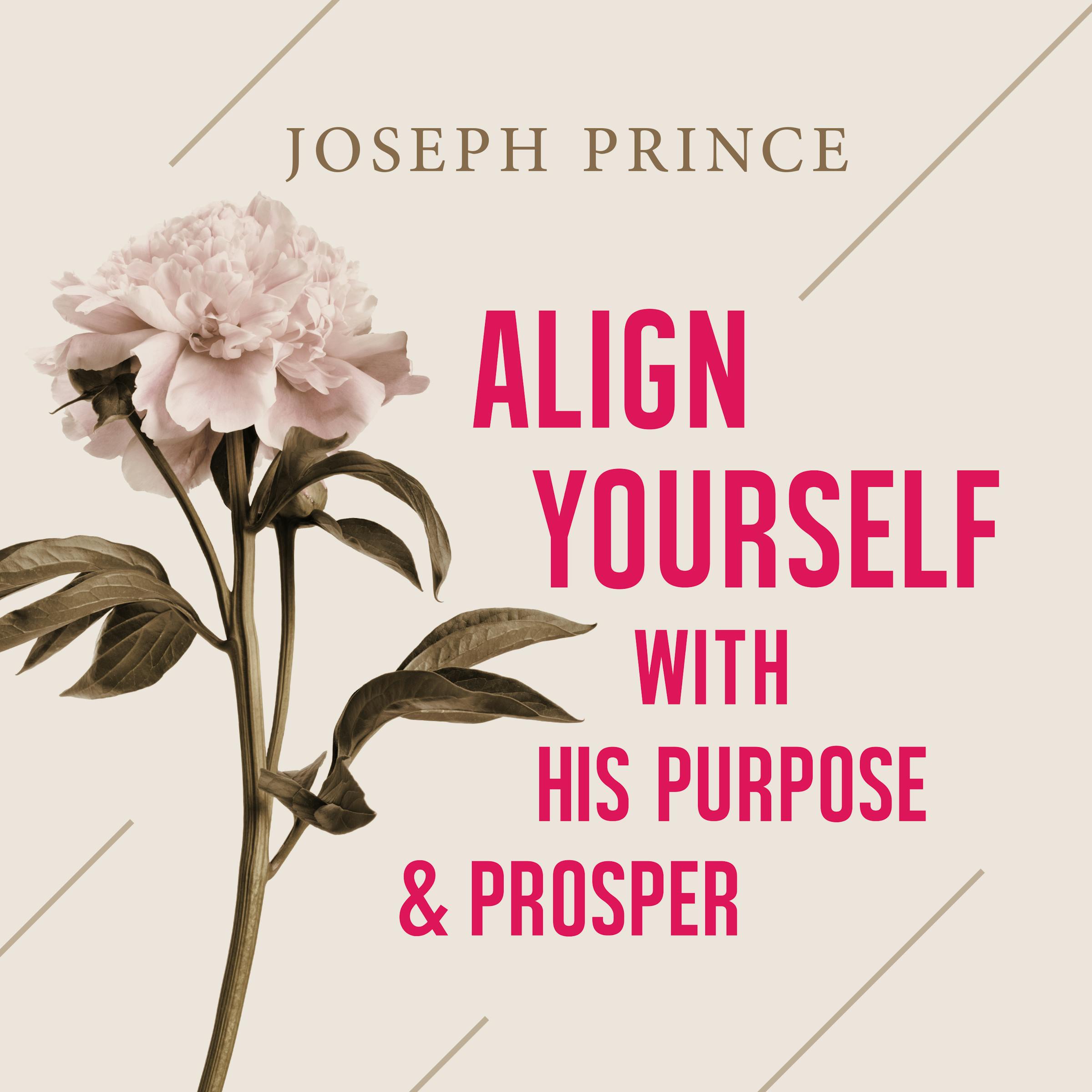 Align Yourself With His Purpose And Prosper Joseph Prince Resources