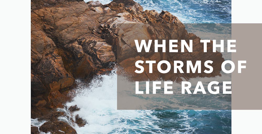 I am the storm that rages on - The Happiness Contagion