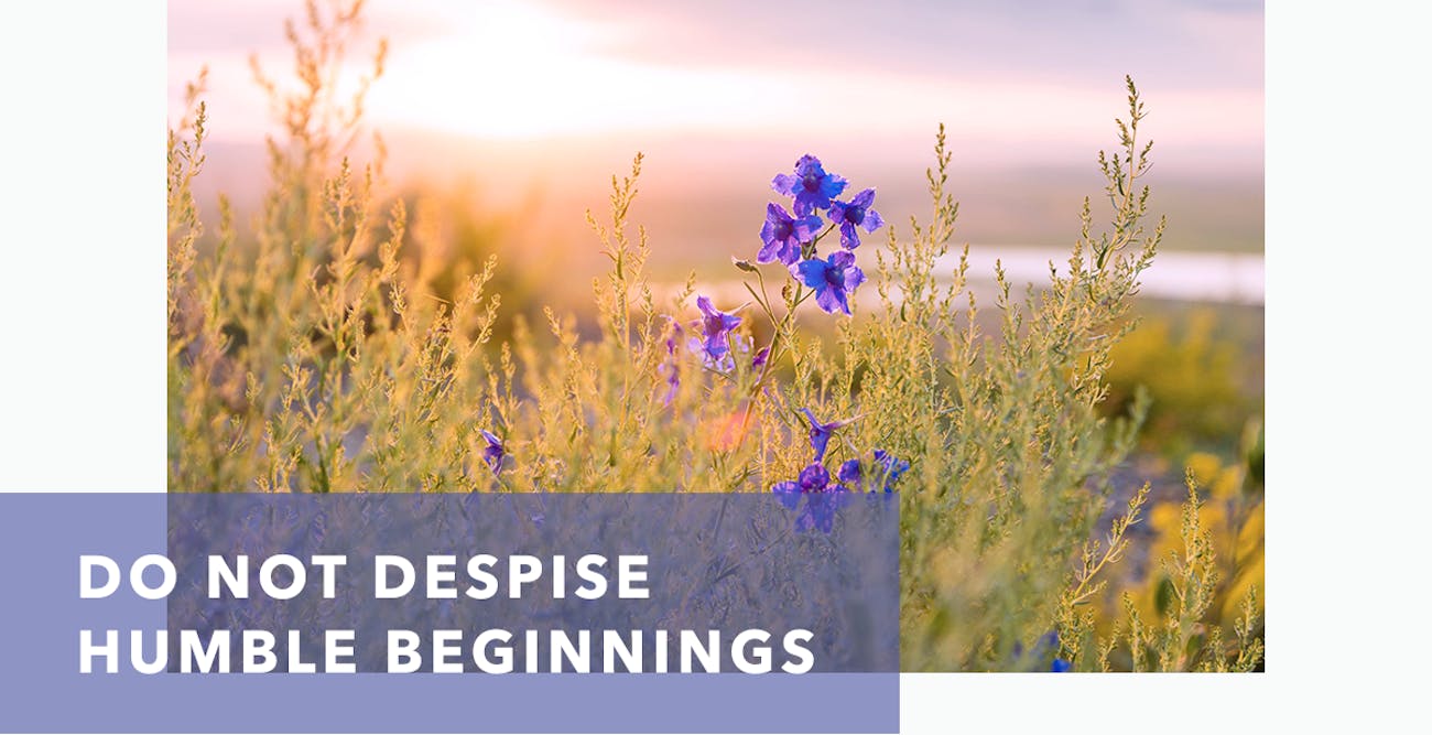 Do Not Despise Humble Beginnings