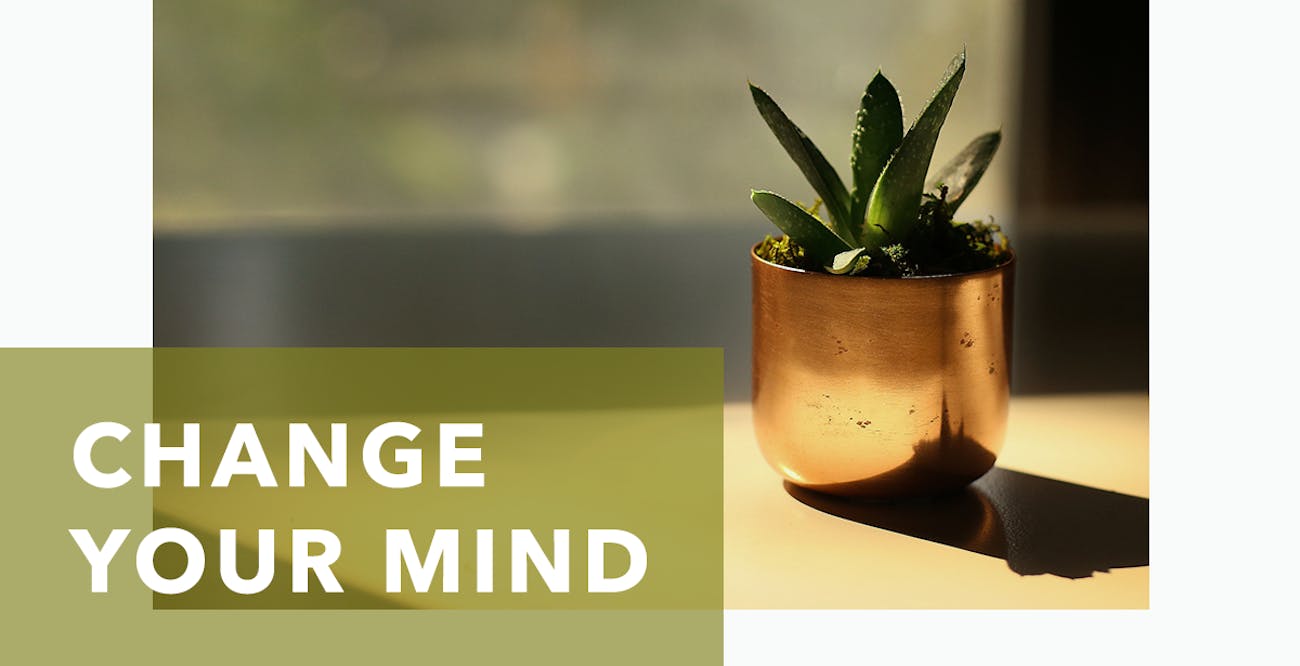 Change Your Mind