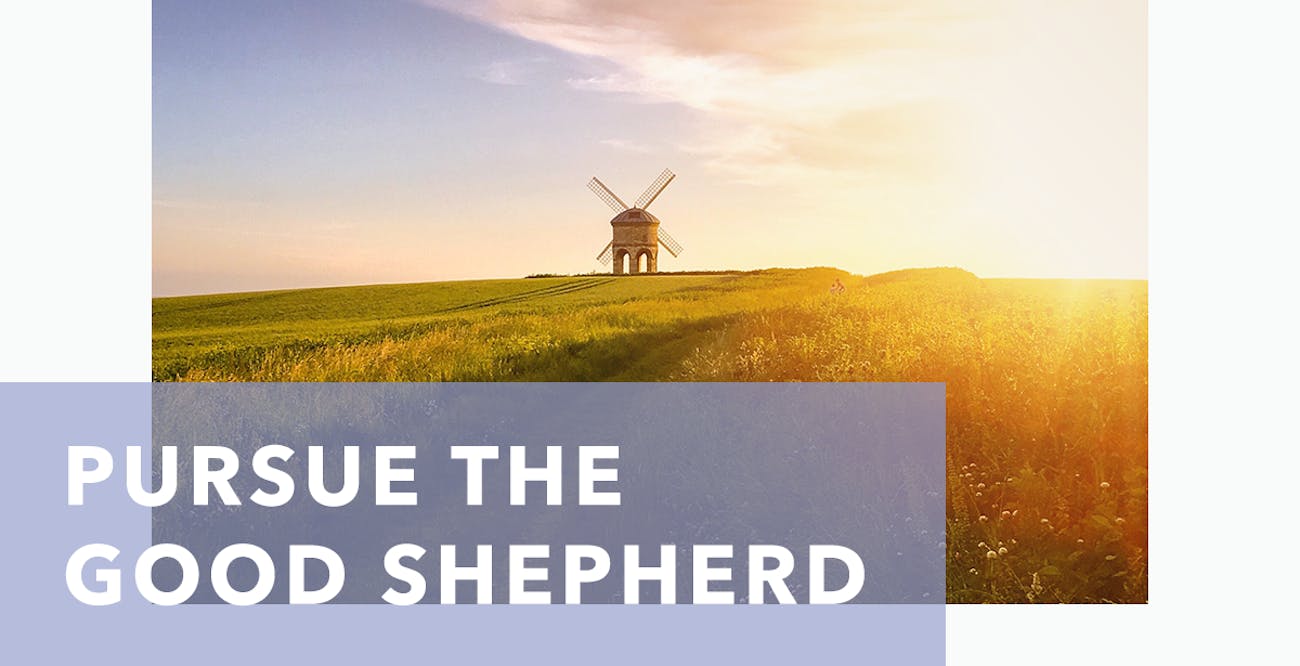 Pursue the Good Shepherd