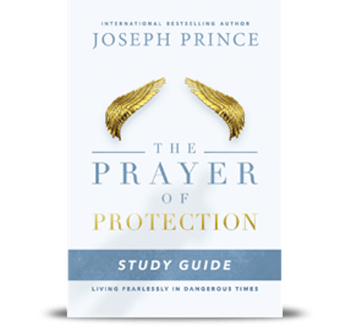 Explore the Perfect Prayer Journal for by Harrison, JB