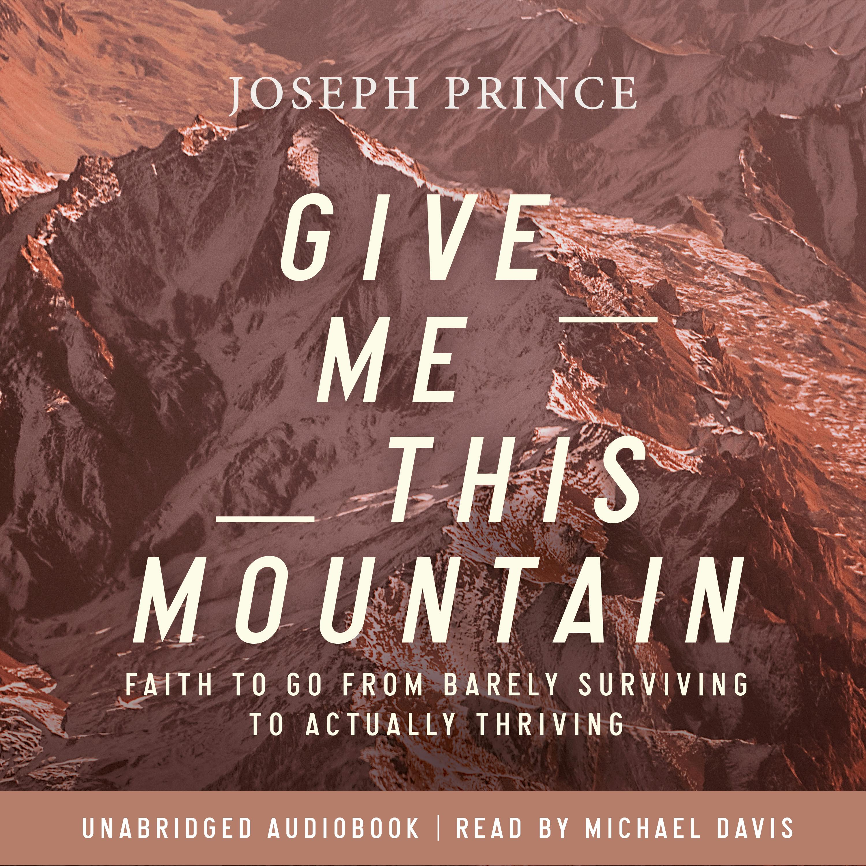 Give Me This Mountain—Audiobook