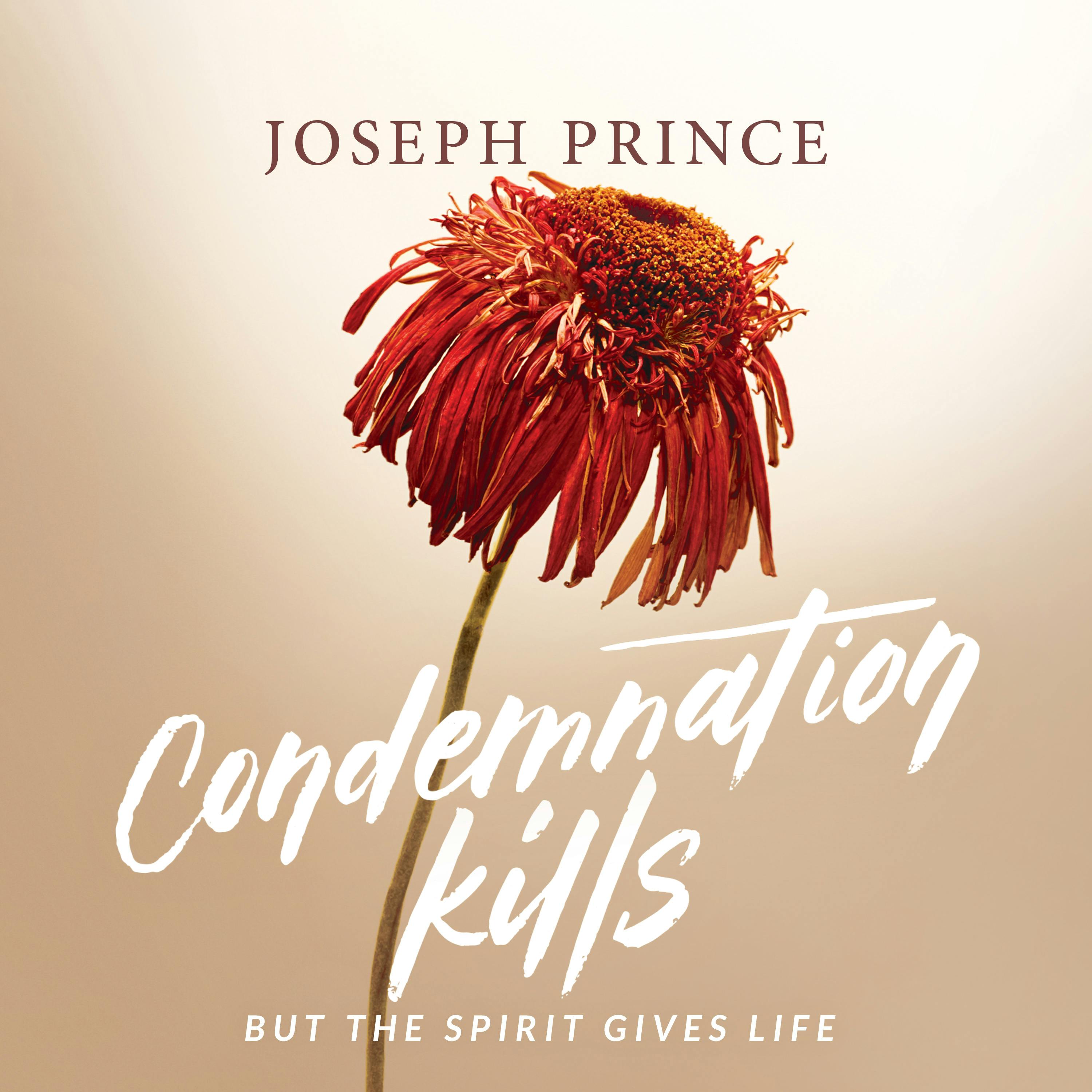 Condemnation Kills But The Spirit Gives Life