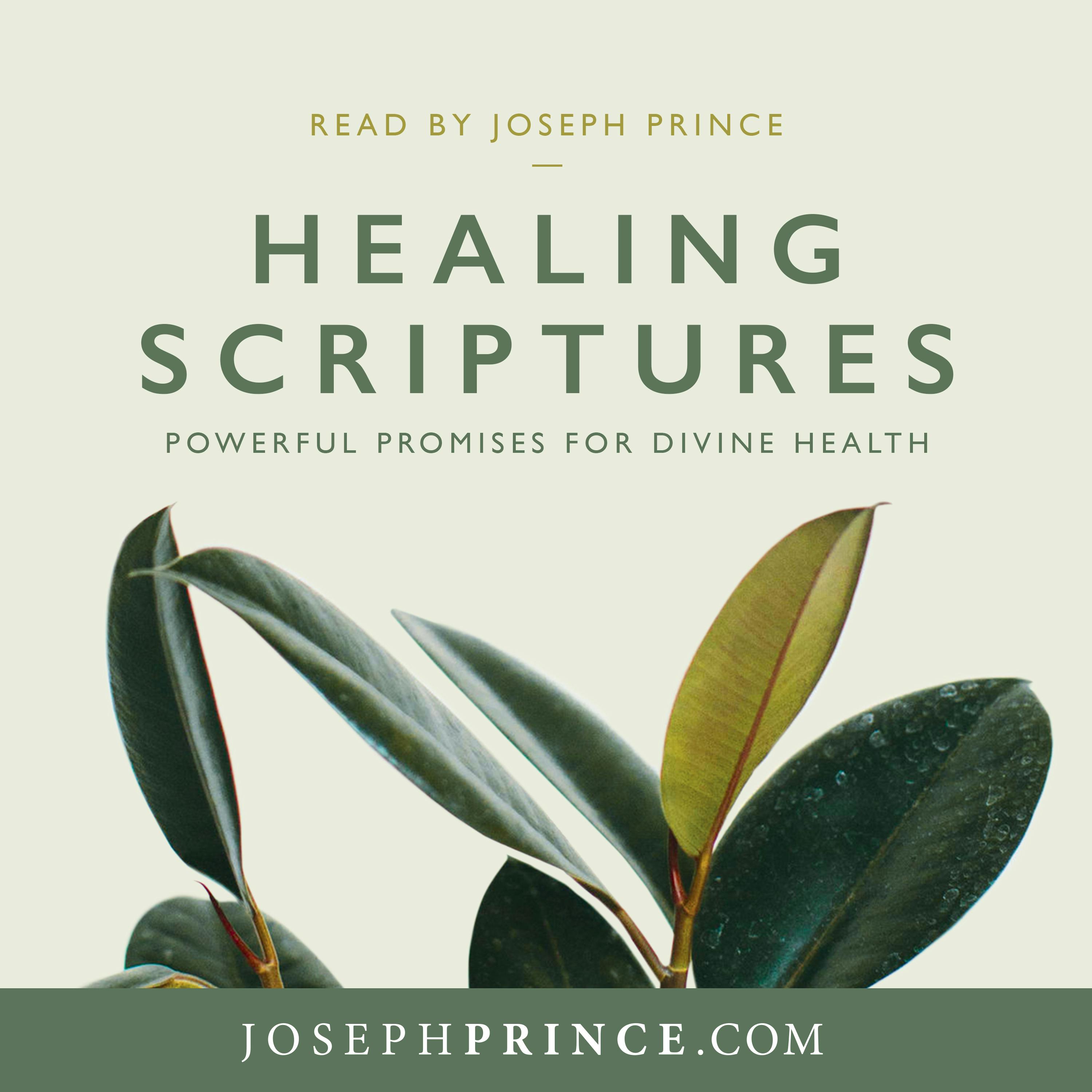 The living bible audio - lanamma