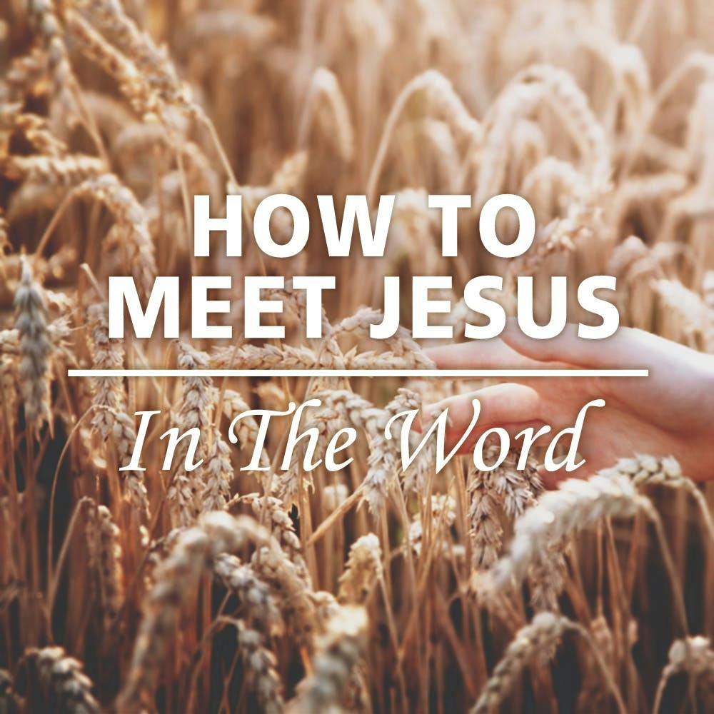 How To Meet Jesus In The Word