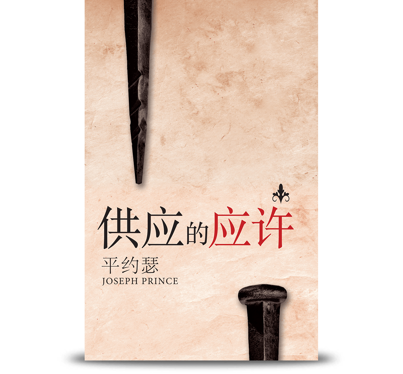供应的应许 Provision Promises (Simplified Chinese Edition)