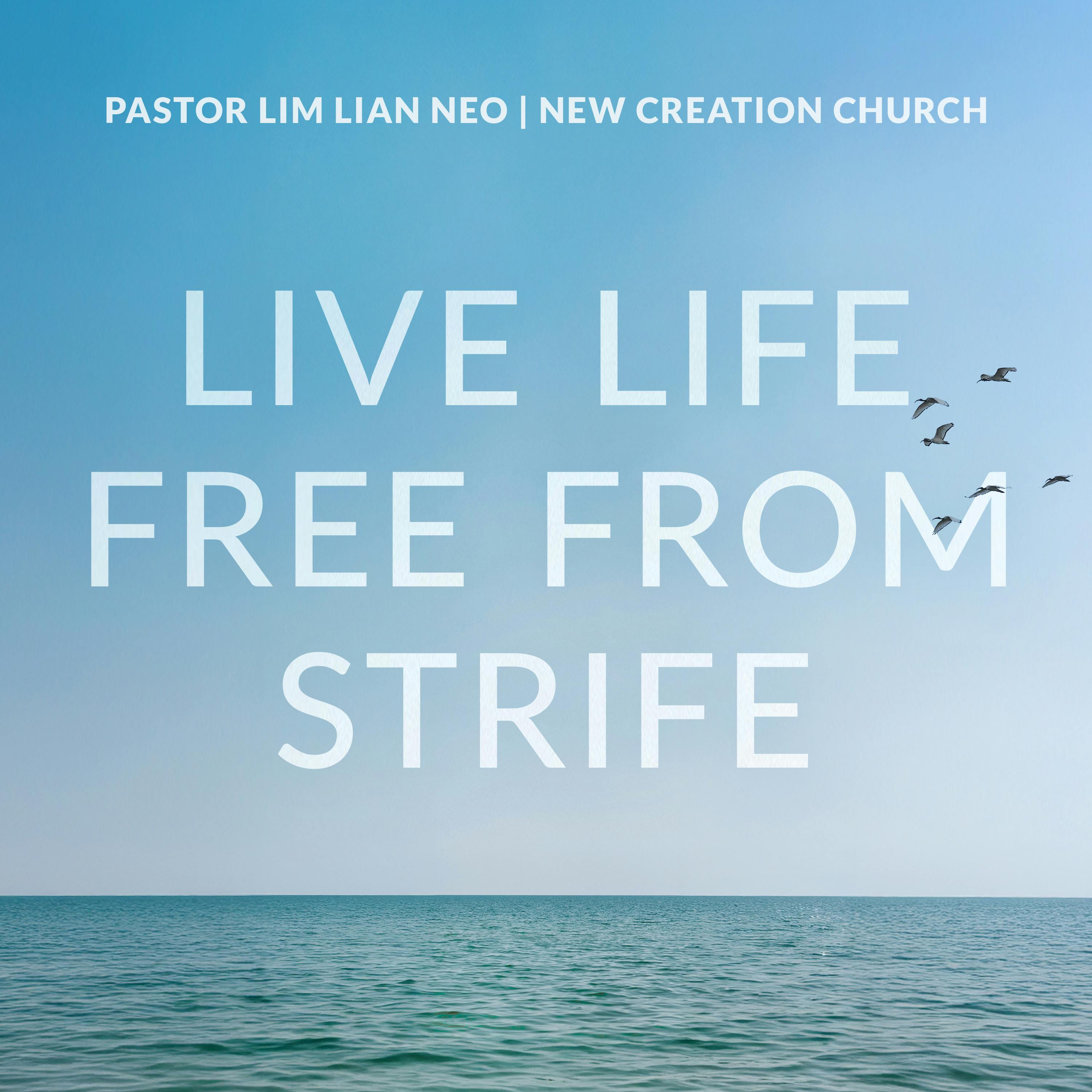 Live Life Free From Strife