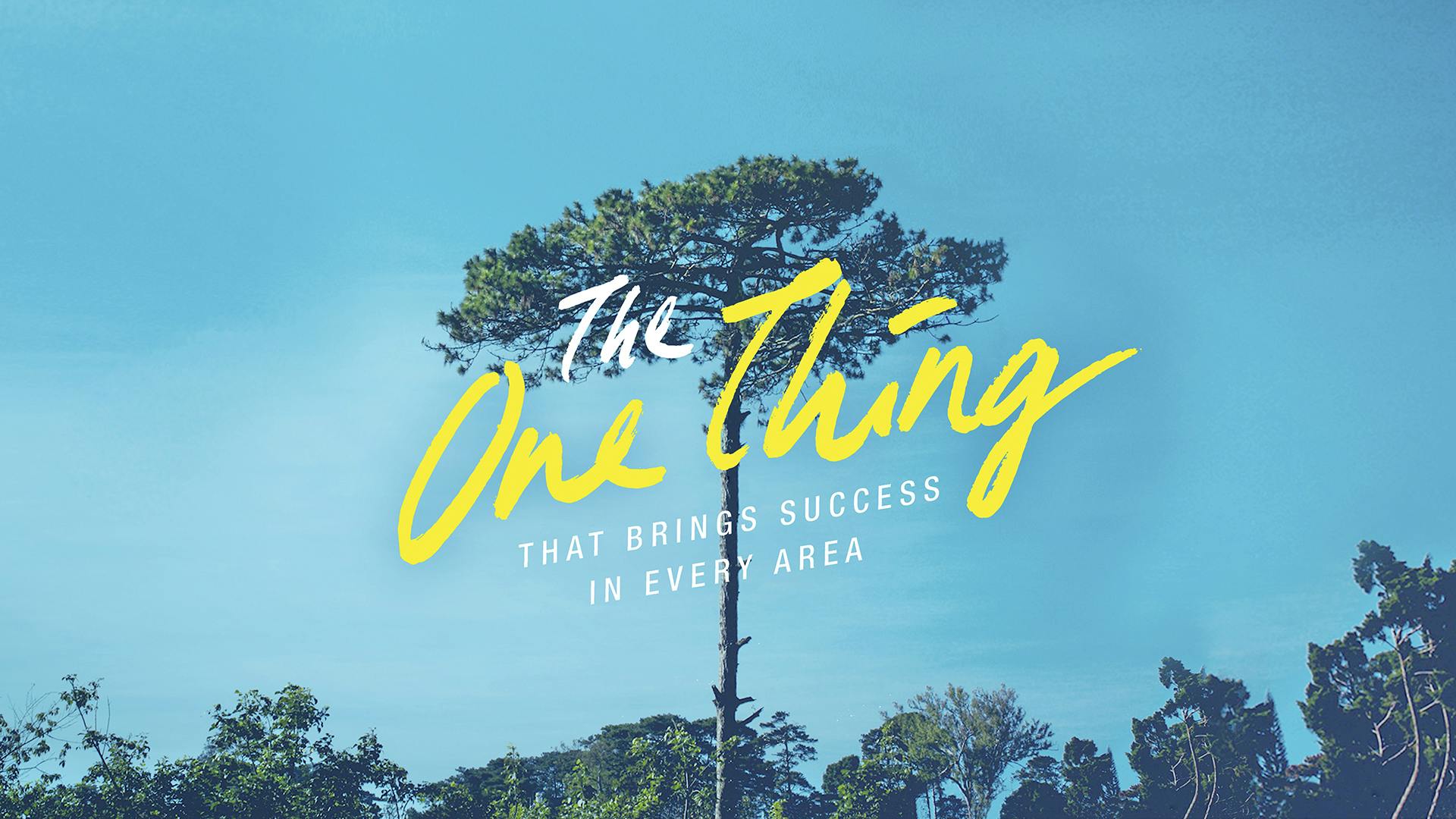The One Thing That Brings Success In Every Area