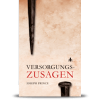 Versorgungszusagen (Provision Promises)