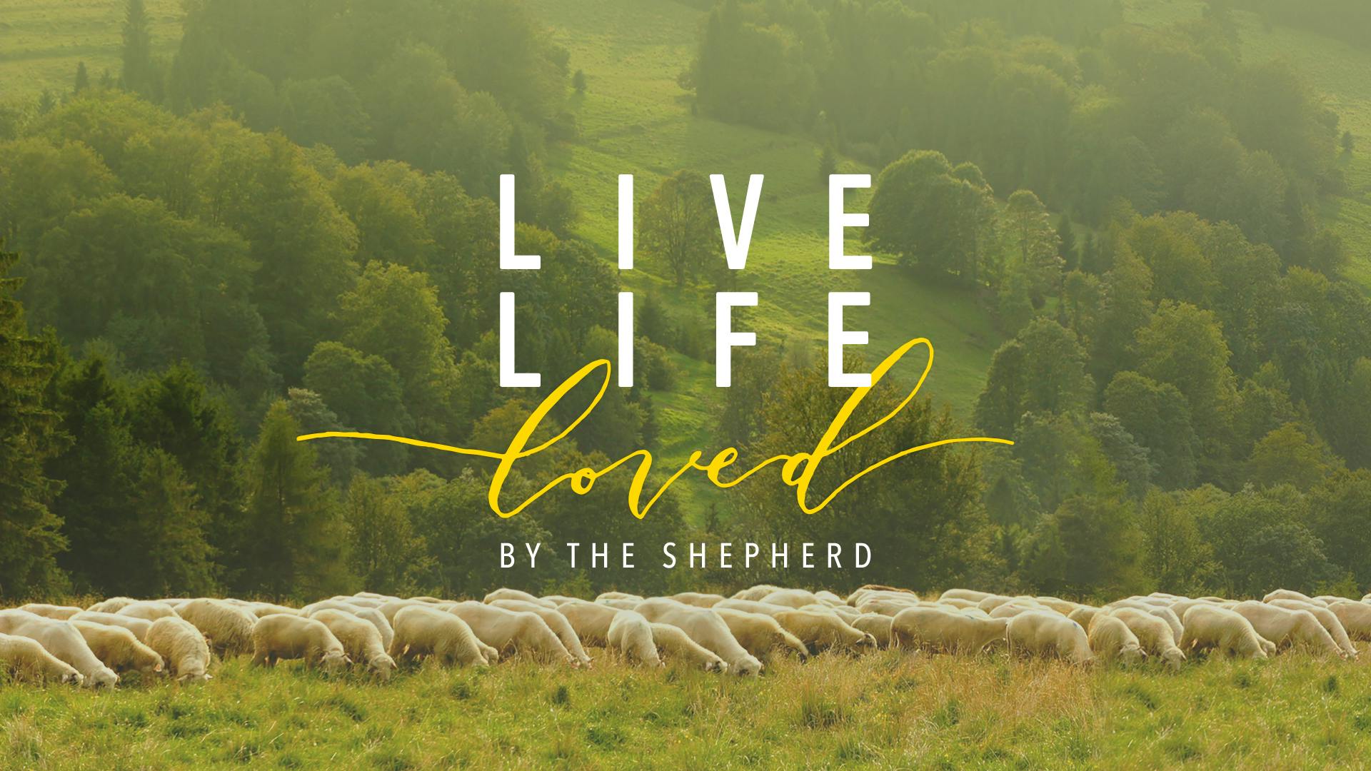 Live Life Loved By The Shepherd