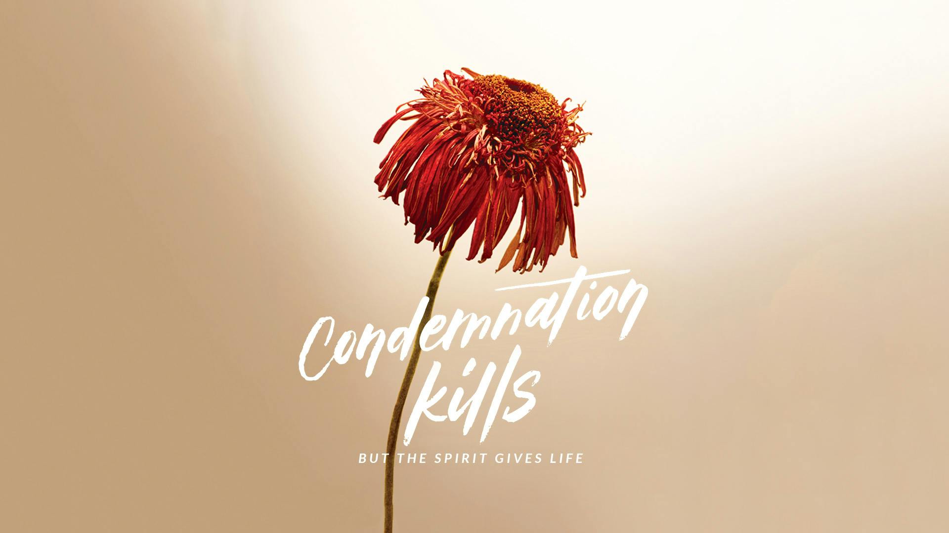 Condemnation Kills But The Spirit Gives Life
